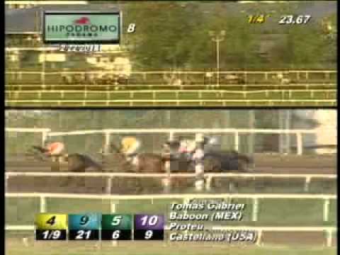 8VA CARRERA SABADO 22 DE FEBRERO DE 2014 HPR