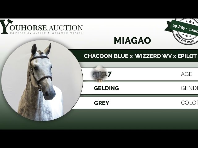 Miagao @ show
