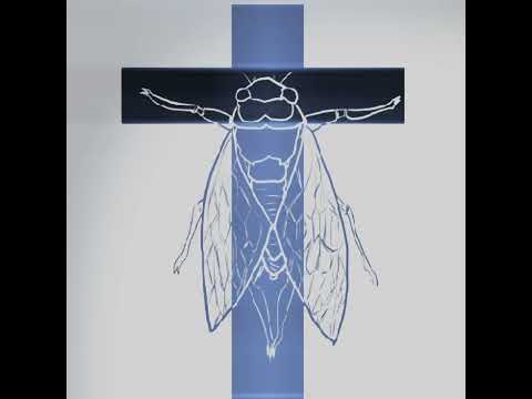 SCP-3004 Edit || #edit #scp #scpedit