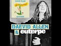 Daevid Allen & Euterpe - She Doesn't She... (Daevid Allen) – 1976