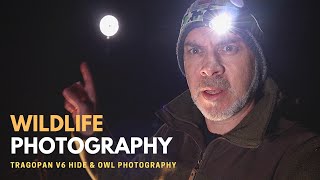OWL PHOTOGRAPHY | Photographing Owls after Dark & Tragopan V6 Hide Review Part 2