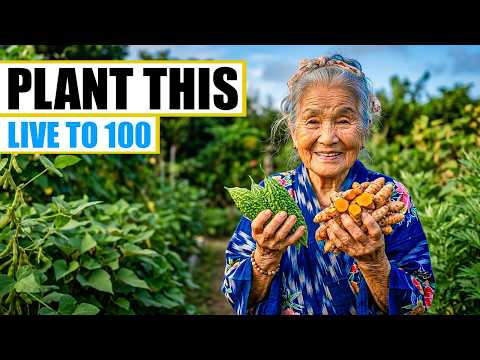 How a 104-Year-Old Okinawan Woman Replaced Her Entire Pharmacy With 5 Plants