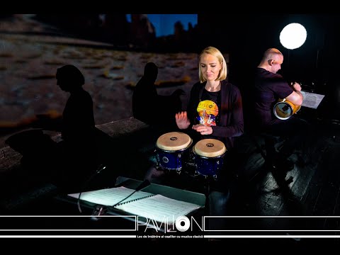 Pavilion muzical 2020 Episodul #2 - Călătorie în lumea percuției