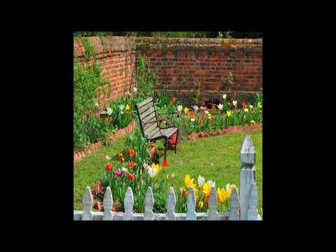 Money Boy - 9. April