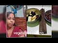 Indian House Wife Vegetables Cutting Vlog Desi Style Vegetables Cutting Vlog