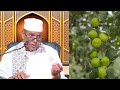 Faa Iidooyinka Ku Jira Caleenta Iyo Lafta Gobka Ah Iyo Xanuunada Ay Dawada Ka Yihiin Sh Maxamed