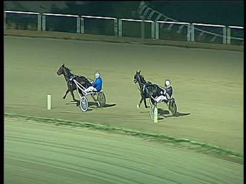 Trotto 26/11/2017 - prova di qualifica