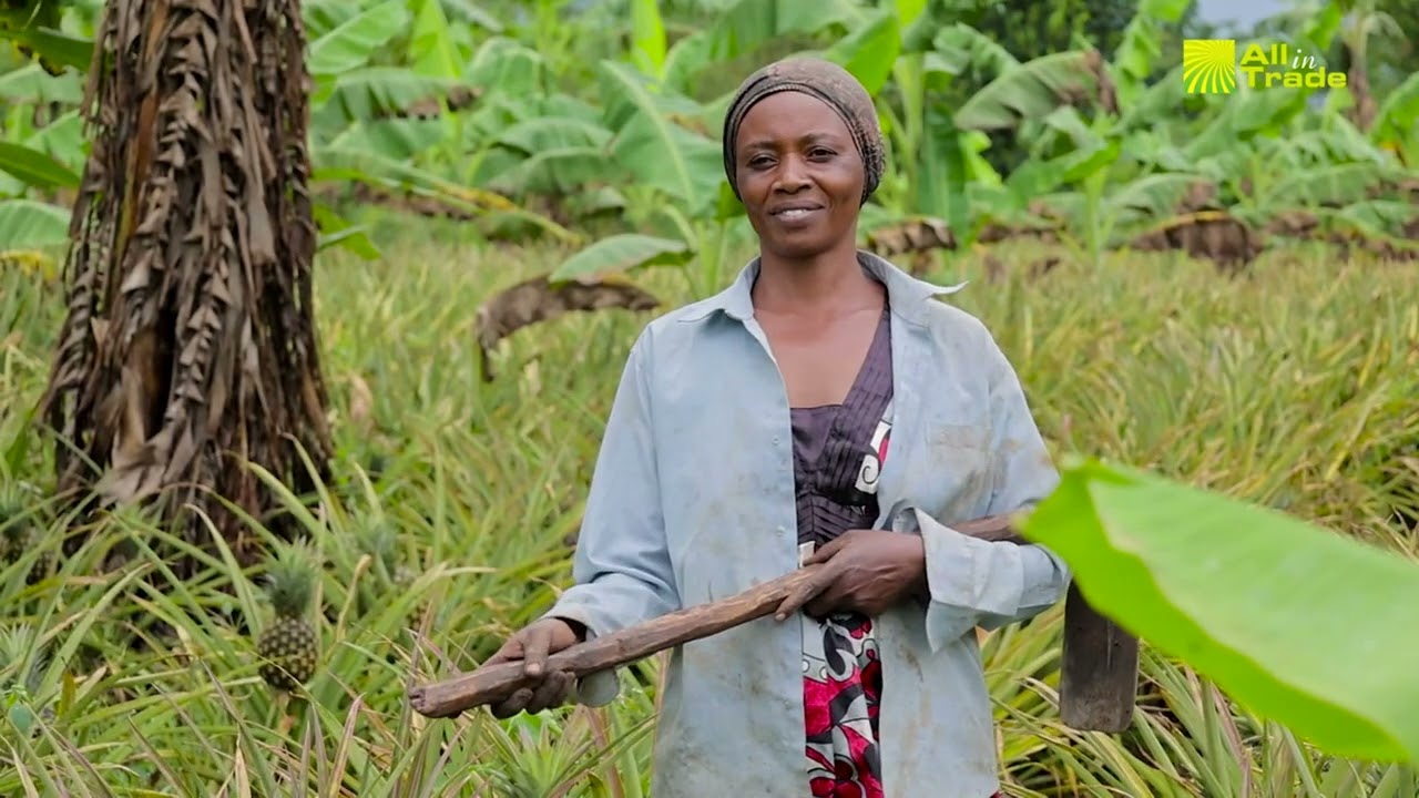 Kamira Sunanas  Manufactory is Using Solar-Powered Fruit Drying to Reduce Food Waste