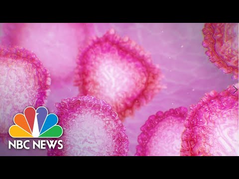 8件目のCOVID-19事件が米国マサチューセッツ州で確認される｜NBCニュース (8th COVID-19 Case Confirmed In U.S. In Massachusetts | NBC News)