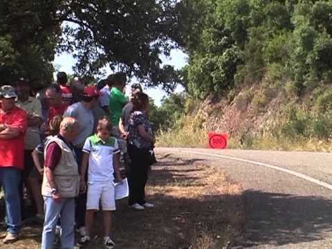 Rally Alta Val di Cecina 2010  Bicchielli - Bogi _ Peugeot 206