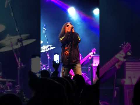 Aleš Brichta - Proč