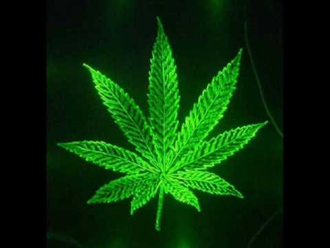 Alberto Fracasso Pink Elephants