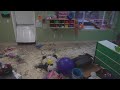 CAUGHT ON CAMERA Wentzville Daycare Floods During Heavy Rains Thursday