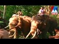 Protest Against Freeing Captured Elephant In Forest In Wayanad Manorama News