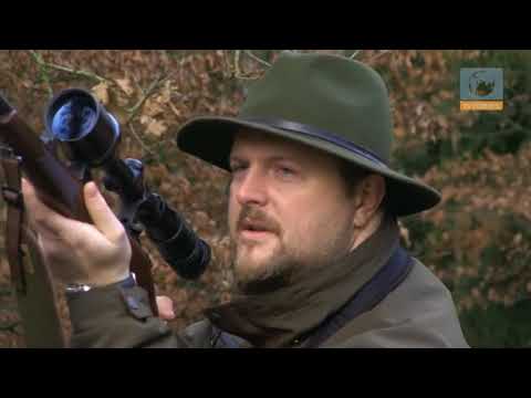 Darz Bór #1 - Jak zostać myśliwym?