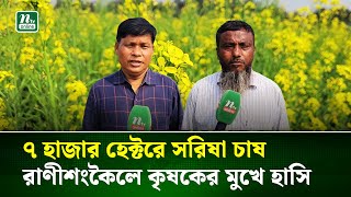 সরিষা চাষ