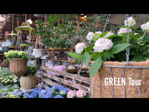 テラスとバルコニーの装飾: 吊り下げプランター用の 5 つの素晴らしい吊り下げ花  庭園