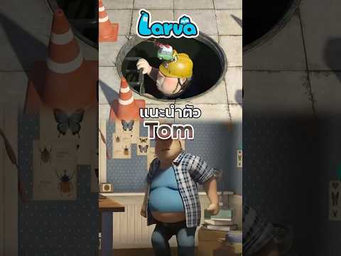 แนะนำตัว Tom | Larva
