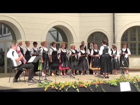 "Weinlese-Chortreffen" 2015 - Mondschein-Chor, Szekszárd