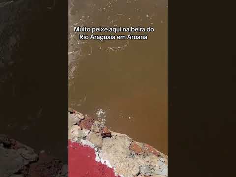 Rio Araguaia Aruanã Goiás #pescaria #pescacombambu #pesca