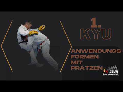 1. Kyu Anwendungsformen - Pratzen