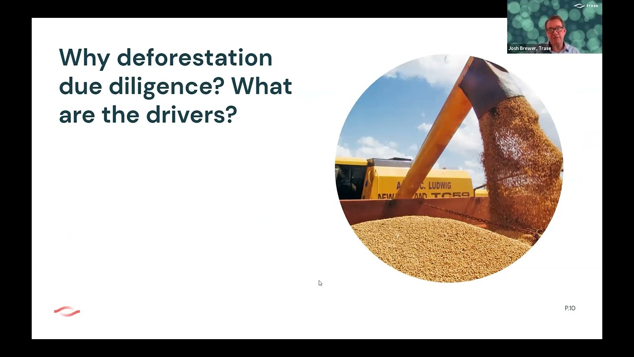 Due diligence and deforestation: An introduction