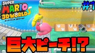 [ゆっくり実況]妖精さんが大ピンチ!! そしてピーチ姫が巨大化⁉ [スーパーマリオ3Dワールド+フューリーワールド/SUPER MARIO 3DWORLD+FURY WORLD #1](再投稿)