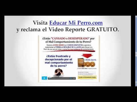 Manual de comportamiento