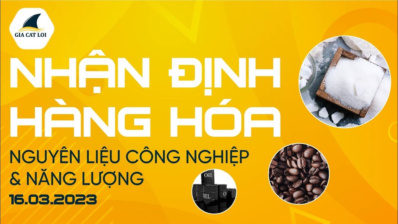 Nhận Định Hàng Hoá Năng Lượng & Nguyên Liệu Công Nghiệp Ngày 16/03/2023