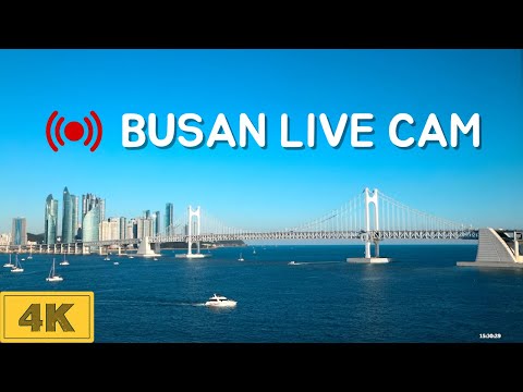 Diamond Bridge (Gwangan Bridge) thumbnail