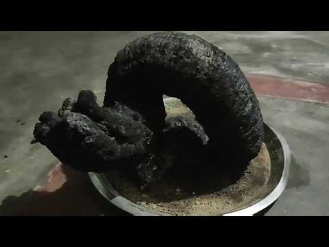 How to make black snake at home in Hindi - science experiment for kids | Mr k minds