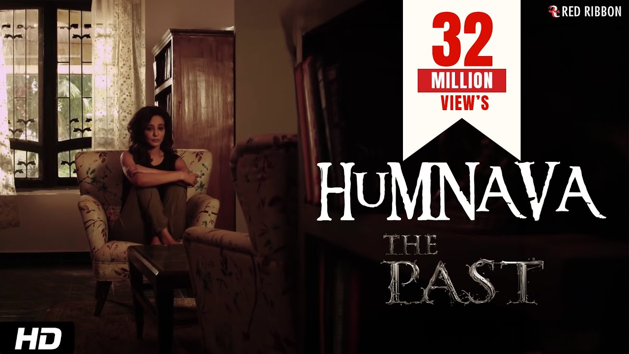 Humnava Lyrics | The Past | Vaishali Sardana
