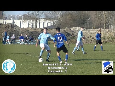 Samenvatting Hermes-D.V.S. 3 - VVOR 6