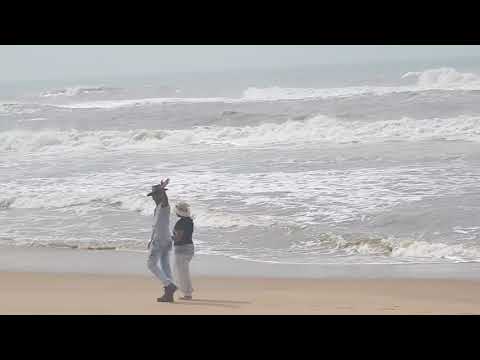 puri  on the chilka lakes see  beach view for morning  work  Dipak @ his  wife  from  Balurghat