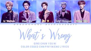QING CHUN YOU NI - WHAT&#39;S WRONG (怎么了) [COLOR CODED CHINESE/PINYIN/ENG LYRICS]