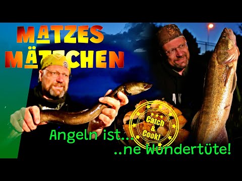 Matze's Antics - The Secret of My Success! - 07-2025