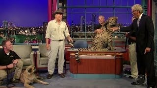 Turkish Dog Kangal Protects The Cheetah From Extinction ( The late show ) !!!