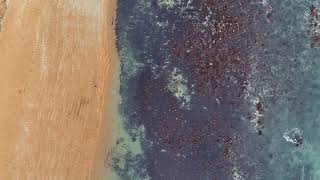 Looking back over Ventnor: 2025 drone compilation