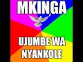 Mkinga Ujumbe Wa Nyankole