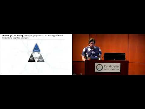 BRI Joint Seminar In Neuroscience - Gavin Rumbaugh, Ph.D.