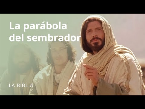 Jesús enseña las parábolas del trigo y la cizaña, el grano de mostaza y de la levadura