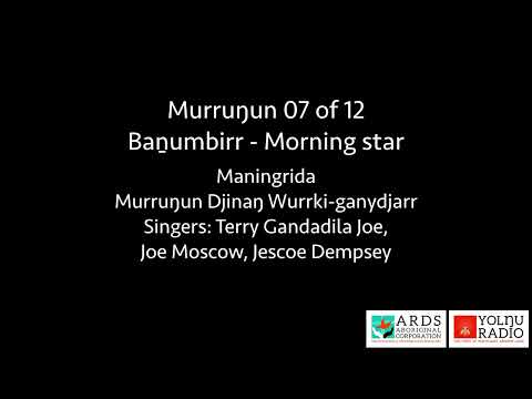 Murruŋun 07 of 12   Baṉumbirr   Morning star