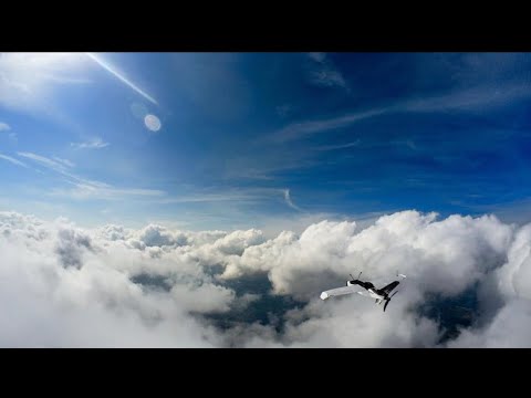 ZOHD Talon GT Rebel Formation-Flight with DJI FPV and Insta360 Go2 on Pan