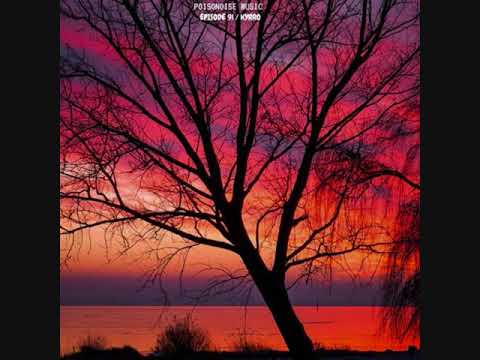 KYRRO - Poisonoise Music - Dub Techno Mix