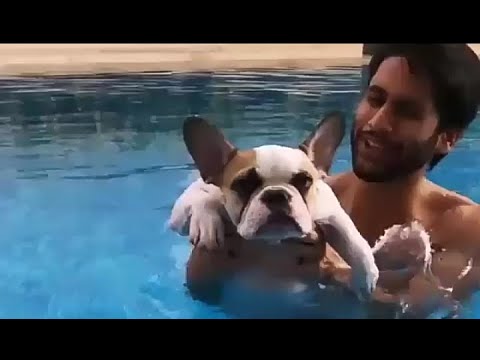 Naga Chaitanya fun with cute Dog 🐕