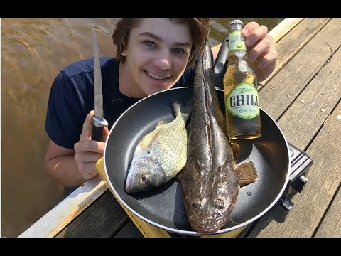 Monster Flathead & Bream - Catch n Cook!