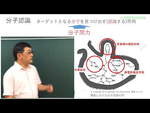 政策学科 関西大学 化学生命工学部　矢島辰雄 教授　『研究紹介：分子認識と分子間力(非共有結合性相互作用)』