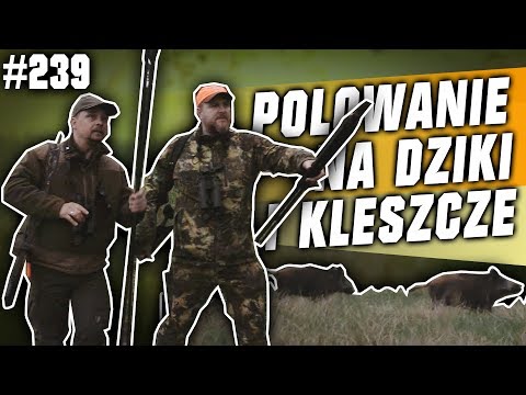 Darz Bór odc. 239 - Polowanie na kleszcze i dziki
