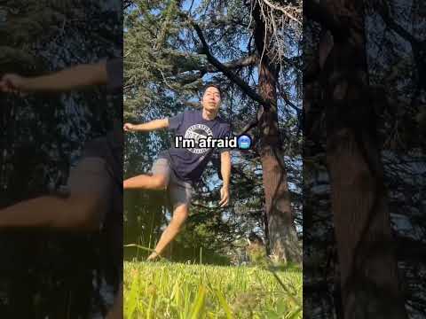 Song: ‘Do It Anyway’ by Yoshi 2.0💪