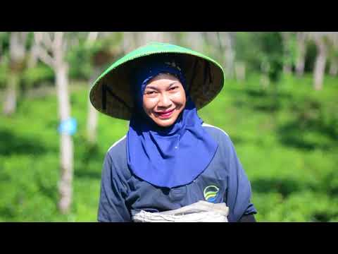 Patogen gadis Siapa dan sebagai berkaitan dengan anggota termuda